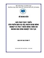 Giải pháp phát triển sản phẩm dịch vụ của ngân hàng nông nghiệp và phát triển nông thôn chi nhánh khu công nghiệp Tân Tạo
