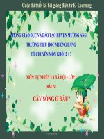 slide tự nhiên xã hội lớp 2 -cây sống ở đâu