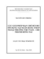 Các giải pháp hạn chế rủi ro tín dụng tại ngân hàng TMCP ngoại thương Việt Nam chi nhánh Đồng Nai