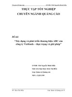 luận văn quản trị kinh doanh Xây dựng và phát triển thương hiệu ABC của công ty Vietfoods – thực trạng và giải pháp
