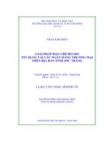 Giải pháp hạn chế rủi ro tín dụng tại các ngân hàng thương mại trên địa bàn tỉnh Sóc Trăng