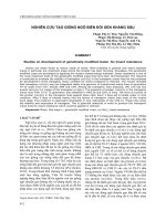 NGHIÊN CỨU TẠO GIỐNG NGÔ BIẾN ĐỔI GEN KHÁNG SÂU