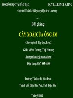 slide tập đọc lớp 2 -cây xoài của ông em