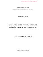 Quản lý rủi ro tín dụng tại Chi nhánh Ngân hàng thương mại tỉnh Đồng Nai