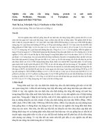 Nghiên cứu nhu cầu năng lượng, protein và axit amin (lysin, Methionin, threonin và trytophan) cho lợn lai 4 máu ngoại nuôi thịt ở Việt Nam