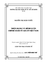 Nhận dạng và bình luận chính sách tỷ giá ở Việt Nam  Luận văn thạc sĩ