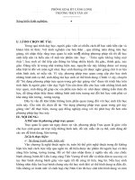 Sử dụng PP Trực quan trong giờ dạy giảng văn