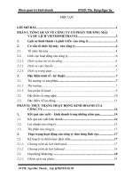 luận văn quản trị kinh doanh THỰC TRẠNG HOẠT ĐỘNG KINH DOANH CỦA CÔNG TY CỔ PHẦN THƯƠNG MẠI VÀ DU LỊCH VIETHOMETRAVEL