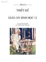 BÀI BÁO CÁO-THIẾT KẾ GIÁO ÁN SINH HỌC 12