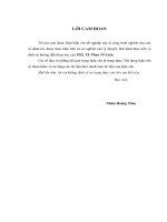 Phát triển dịch vụ khách hàng quảng cáo ngoài trời của công ty Cổ phần Truyền thông Tập trung Mặt trời vàng