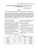 KẾT QUẢ XÂY DỰNG MÔ HÌNH CANH TÁC GIỐNG NGÔ LAI MỚI TẠI TỈNH HÒA BÌNH