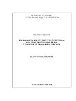 Tác động của đầu tư trực tiếp nước ngoài đến tăng trưởng kinh tế tại vùng kinh tế trọng điểm phía Nam