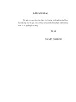 Hoàn thiện kế toán chi phí sản xuất và tính giá thành sản phẩm hàng may mặc gia công tại Công ty Liên doanh TNHH Flexcon Việt Nam