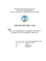 luận văn quản trị kinh doanh  Công tác tạo động lực lao động tại Công ty cổ phần và sản xuất dịch vụ Tràng An
