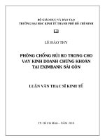 Phòng chống rủi ro trong cho vay kinh doanh chứng khoán tại Eximbank Sài Gòn  Luận văn thạc sĩ