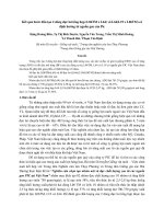 Kết quả bước đầu tạo 2 dòng lai tổng hợp (L06TM x L64) và L64 (L19 x L06TM) có định hướng từ nguồn gen của Pic