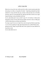 Luận văn tốt nghiệp - Giải pháp mở rộng hoạt động cho vay đối với doanh nghiệp vừa và nhỏ tại ngân hàng Phương Nam-phòng giao dịch Thăng Long