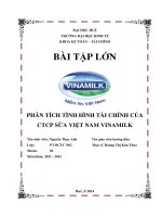 BÀO TẬP PHÂN TÍCH-PHÂN TÍCH TÌNH HÌNH TÀI CHÍNH CỦA CTCP SỮA VIỆT NAM VINAMILK