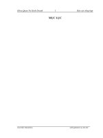 luận văn quản trị kinh doanh Thực trạng sản xuất kinh doanh của Công ty Cổ Phần Đầu tư Thương mại Thép Mới trong 3 năm 2007, 2008, 2009.