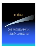 Giáo trình Hành vi người tiêu dùng chương 13