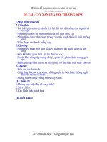 Cây xanh và môi trường