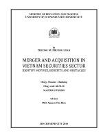 Merger and acquistion in Vietnam securities sector identify motives nennefits and obstacles  Luận văn thạc sĩ