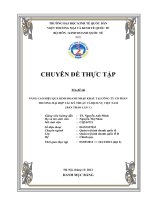 luận văn quản trị kinh doanh Nâng cao hiệu quả kinh doanh nhập khẩu tại Công ty Cổ phần Thương mại Hợp tác Kỹ thuật và Dịch vụ Việt Nam