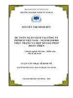 Dự toán ngân sách tại công ty Pepsico Việt Nam - Ngành Foods thực trạng và một số giải pháp hoàn thiện