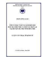 Tối ưu Đầu vào và giảm rủi ro đầu ra cho việc canh tác bắp lai tại huyện Ba Tri tỉnh Bến Tre