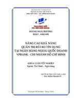 Nâng cao khả năng quản trị rủi ro tín dụng tại ngân hàng ngoài quốc doanh VPBank