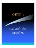 Giáo trình Hành vi người tiêu dùng chương 12