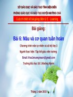 slide tnxh lớp 3 -máu và cơ quan tuần hòan máu