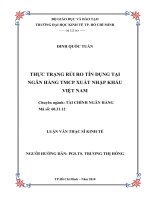 Thực trạng rủi ro tín dụng tại ngân hàng TMCP xuất nhập khẩu Việt Nam