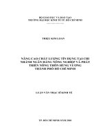 Nâng cao chất lượng tín dụng tại chi nhánh ngân hàng Nông nghiệp và phát triển nông thôn Hùng Vương thành phố Hồ Chí Minh