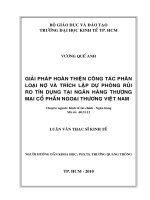 Giải pháp hoàn thiện công tác phân loại nợ và trích lập dự phòng rủi ro tín dụng tại ngân hàng thương mại cổ phần Ngoại Thương Việt Nam