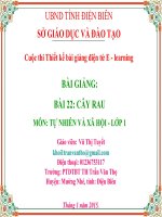 slide tnxh lớp 1 -cây rau -GV vũ thị tuyết