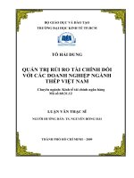 Quản trị rủi ro tài chính đối với các doanh nghiệp ngành thép Việt Nam  Luận văn thạc sĩ