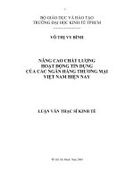 Nâng cao chất lượng hoạt động tín dụng của các ngân hàng thương mại Việt Nam hiện nay