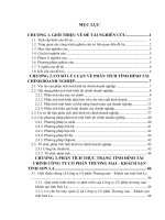 Phân tích tình hình tài chính của Công ty Cổ phần Thương mại – Khách sạn tỉnh Sơn La