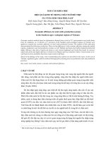 Hiệu quả kinh tế trong chăn nuôi bò thịt ở 4 vùng sinh thái phía Nam