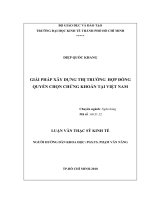 Giải pháp xây dựng thị trường hợp đồng quyền chọn chứng khoán tại Việt Nam