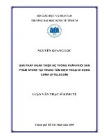 Giải pháp hoàn thiện hệ thống phân phối sản phẩm SFONE tại trung tâm điện thoại di động CDMA(S-TELECOM)