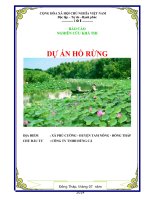 báo cáo nghiên cứu khả thi dự án hồ rừng