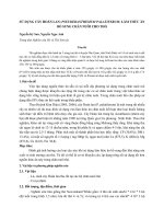 Sử dụng cây Hoàn Lan (Pseuderanthemum Palatiferum) làm thức ăn bổ sung chăn nuôi cho thỏ