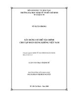 Xây dựng cơ chế tài chính cho tập đoàn hàng không Việt Nam