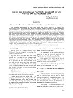 NGHIÊN CỨU CHỌN TẠO VÀ PHÁT TRIỂN GIỐNG NGÔ NẾP LAI PHỤC VỤ SẢN XUẤT NĂM 2009 - 2011