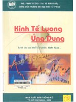 Kinh tế lượng ứng dụng - Phần cơ bản và cơ sở. Dành cho các khối tài chính, ngân hàng