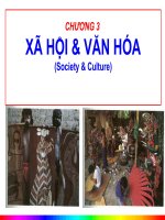 Bài giảng Xã hội học đại cương Chương 3 - ThS. Đỗ Hồng Quân