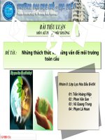 BÀI TIỂU LUẬN-Những thách thức về những vấn đề môi trường toàn cầu