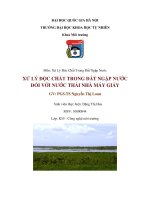 ĐHQG HN-MÔN-XỬ LÝ ĐỘC CHẤT TRONG ĐẤT NGẬP NƯỚC ĐỐI VỚI NƯỚC THẢI NHÀ MÁY GIẤY